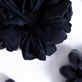 Black Grape - Pera Atelier
